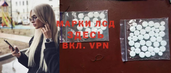 сатива Кулебаки