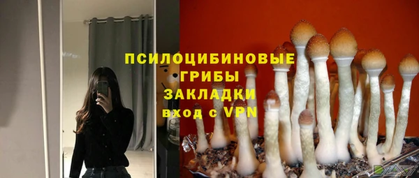эйфоретик Красноперекопск