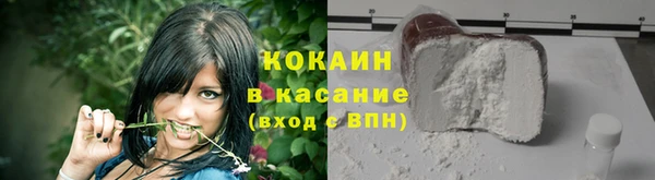 сатива Кулебаки
