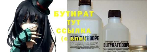 сатива Кулебаки